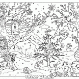 الغابات الشتاء