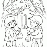 تغذية الأطفال الطيور