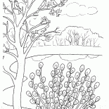 جمل الصفصاف