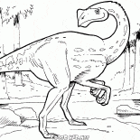 كيورستيونت بيرجراسيليس