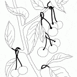 الكرز البري