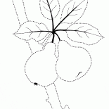 الثمرة الحلوة على الشجرة