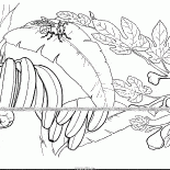 التين والموز