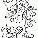 فرع مع الكرز