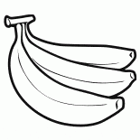 الفاكهة زيت النخيل