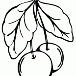 الكرز الحلو