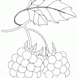 التوت الحرف اليدوية