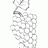 عنقود عنب