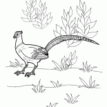 التدرج