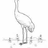 مرفاع