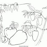 الفلفل البلغارية