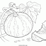 اليقطين على المدينة