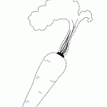 جزر