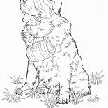 كلب سانت بيرنارد