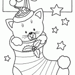 الاحلام تتحقق