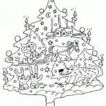 شجرة غير عادية